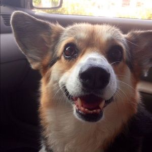 Meet your Posher, Maggie